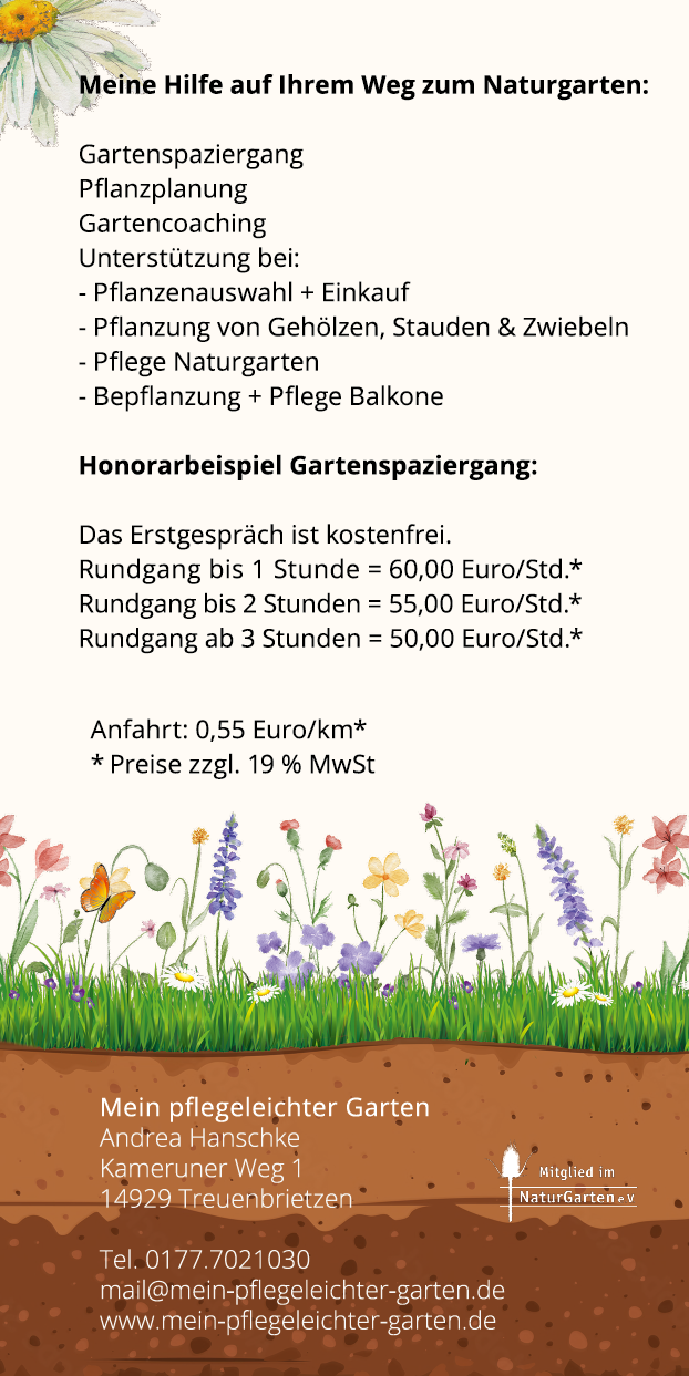 Mein pflegeleichter Garten - Flyer Seite 2